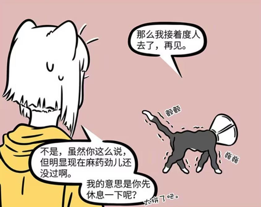 非人哉：九月带徐哼唧打疫苗，观音的化身变为黑猫，还被绝育_非人哉：九月带徐哼唧打疫苗，观音的化身变为黑猫，还被绝育_