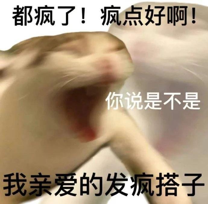 国宝大熊猫遭虐待？造谣者被罚_今天惩罚熊猫_熊猫犯法