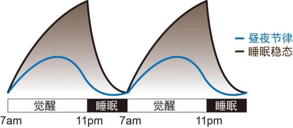 7种食物能帮你睡个好觉_睡觉的食物_睡觉好的食物