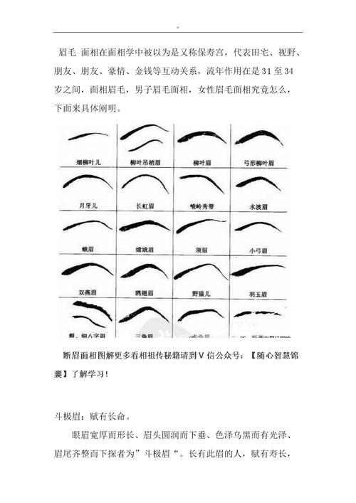 眉毛图解大全男子_男人眉毛看相图解命运_眉毛的图解的命运